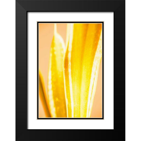 Hot House II Black Modern Wood Framed Art Print with Double Matting by Stramel, Renee W.