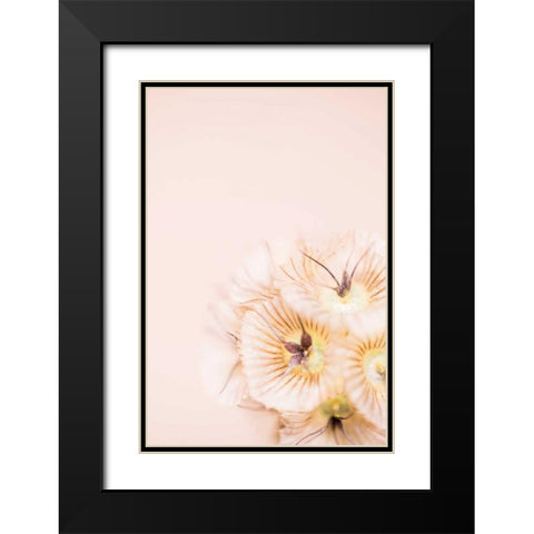 Bleach Blonde I Black Modern Wood Framed Art Print with Double Matting by Stramel, Renee W.