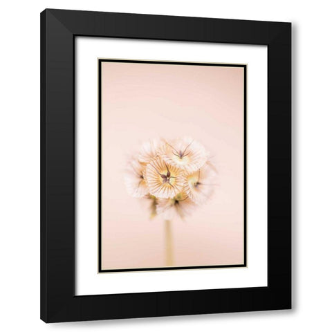 Bleach Blonde II Black Modern Wood Framed Art Print with Double Matting by Stramel, Renee W.