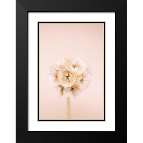Bleach Blonde II Black Modern Wood Framed Art Print with Double Matting by Stramel, Renee W.
