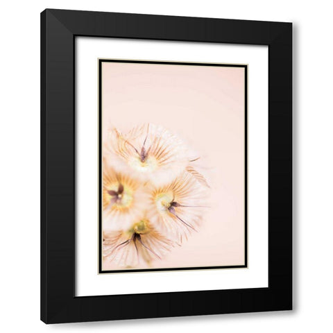 Bleach Blonde III Black Modern Wood Framed Art Print with Double Matting by Stramel, Renee W.