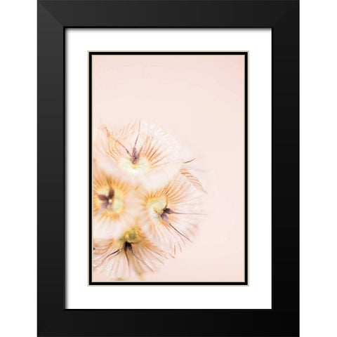 Bleach Blonde III Black Modern Wood Framed Art Print with Double Matting by Stramel, Renee W.