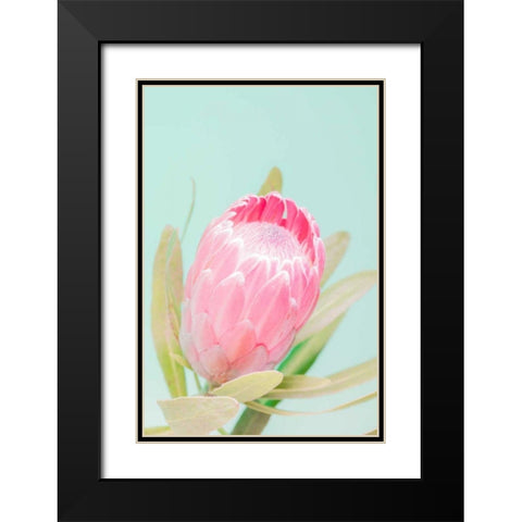 Sun Drenched Blossom I Black Modern Wood Framed Art Print with Double Matting by Stramel, Renee W.