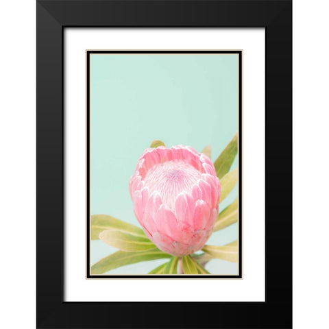 Sun Drenched Blossom II Black Modern Wood Framed Art Print with Double Matting by Stramel, Renee W.