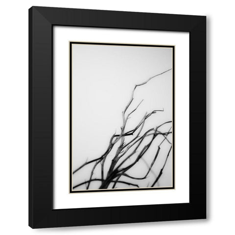 Searching Branches I Black Modern Wood Framed Art Print with Double Matting by Stramel, Renee W.