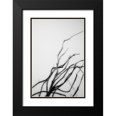 Searching Branches I Black Modern Wood Framed Art Print with Double Matting by Stramel, Renee W.