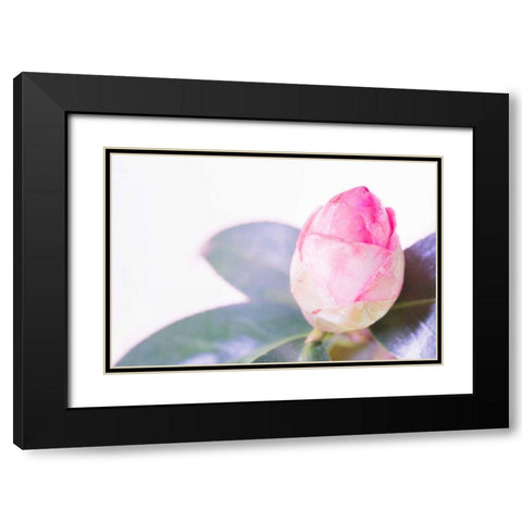 Halogen Bloom I Black Modern Wood Framed Art Print with Double Matting by Stramel, Renee W.