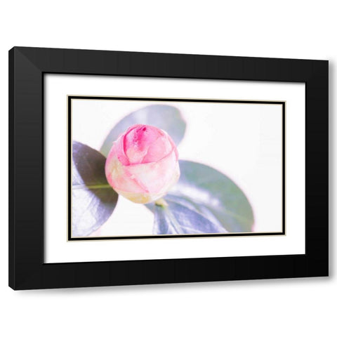 Halogen Bloom II Black Modern Wood Framed Art Print with Double Matting by Stramel, Renee W.