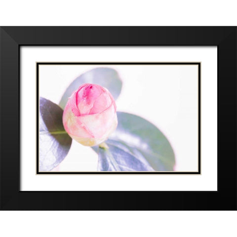 Halogen Bloom II Black Modern Wood Framed Art Print with Double Matting by Stramel, Renee W.