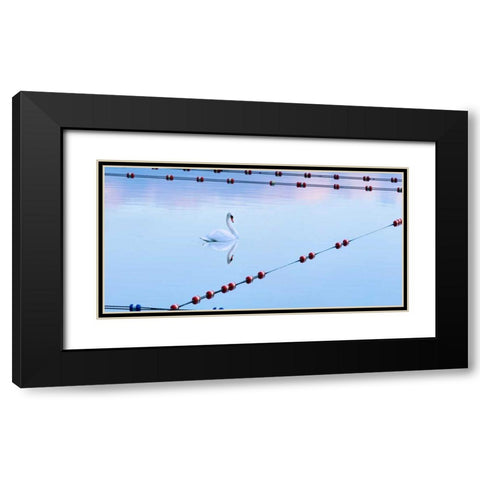 Swan and Ropes Black Modern Wood Framed Art Print with Double Matting by McLoughlin, James