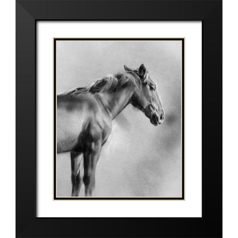 Charcoal Equine Portrait I Black Modern Wood Framed Art Print with Double Matting by Caroline, Emma