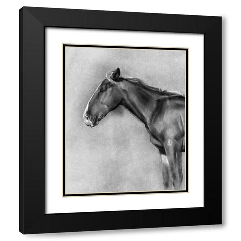 Charcoal Equine Portrait II Black Modern Wood Framed Art Print with Double Matting by Caroline, Emma