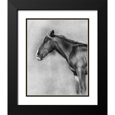 Charcoal Equine Portrait II Black Modern Wood Framed Art Print with Double Matting by Caroline, Emma