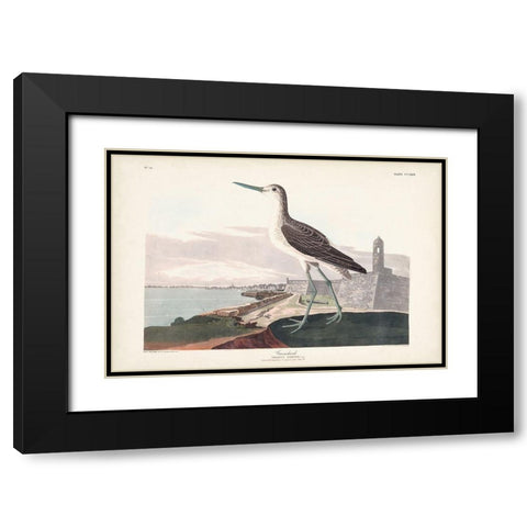 Pl. 269 Greenshank Black Modern Wood Framed Art Print with Double Matting by Audubon, John James