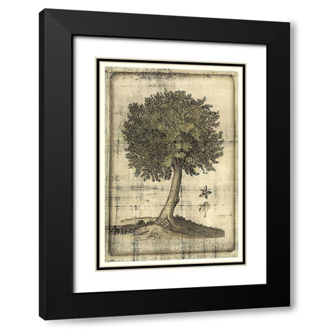 Fruitful Realm I Black Modern Wood Framed Art Print with Double Matting by Vision Studio