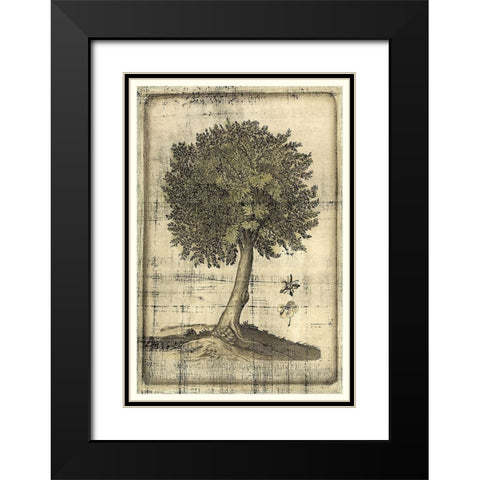 Fruitful Realm I Black Modern Wood Framed Art Print with Double Matting by Vision Studio