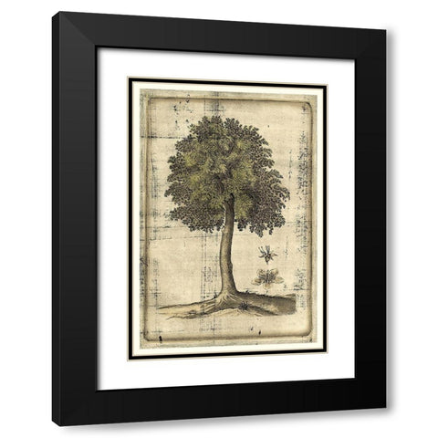 Fruitful Realm II Black Modern Wood Framed Art Print with Double Matting by Vision Studio