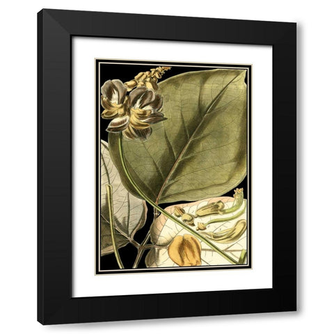 Tranquil Tropical Leaves I Black Modern Wood Framed Art Print with Double Matting by Vision Studio