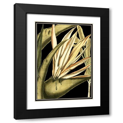 Tranquil Tropical Leaves III Black Modern Wood Framed Art Print with Double Matting by Vision Studio