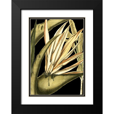 Tranquil Tropical Leaves III Black Modern Wood Framed Art Print with Double Matting by Vision Studio