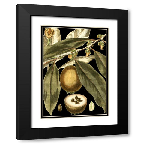 Tranquil Tropical Leaves IV Black Modern Wood Framed Art Print with Double Matting by Vision Studio