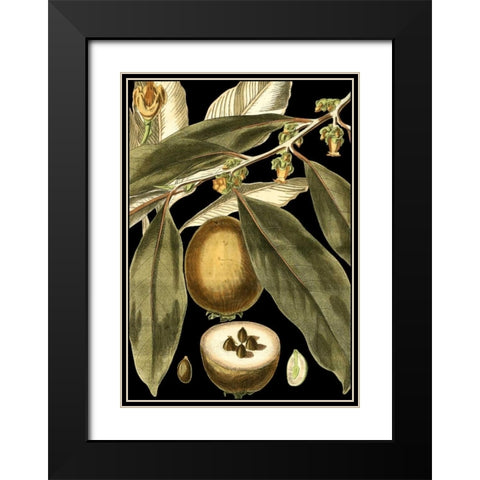 Tranquil Tropical Leaves IV Black Modern Wood Framed Art Print with Double Matting by Vision Studio