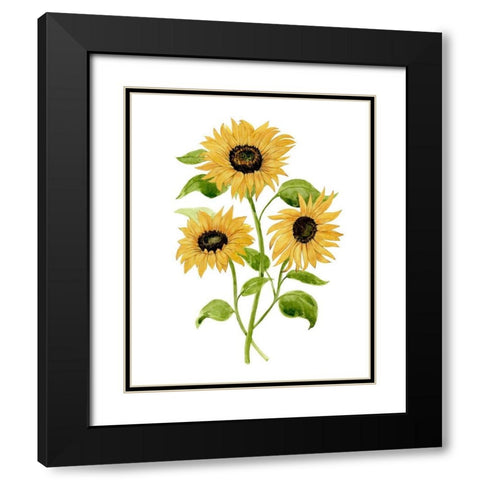 Sunflower Trio I Black Modern Wood Framed Art Print with Double Matting by Warren, Annie