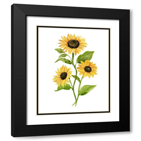 Sunflower Trio II Black Modern Wood Framed Art Print with Double Matting by Warren, Annie