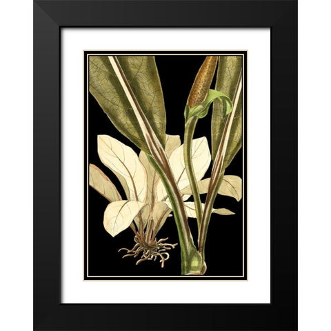 Tranquil Tropical Leaves V Black Modern Wood Framed Art Print with Double Matting by Vision Studio