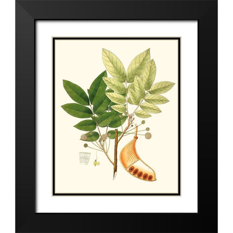 Spring Green Foliage IX Black Modern Wood Framed Art Print with Double Matting by Unknown