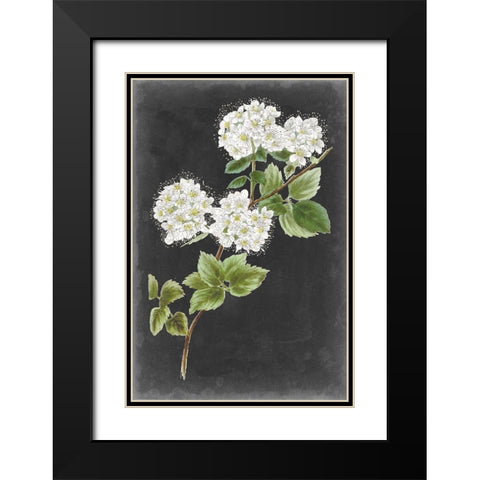 Dramatic White Flowers II Black Modern Wood Framed Art Print with Double Matting by Vision Studio
