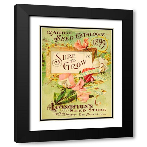 Antique Seed Packets VIII Black Modern Wood Framed Art Print with Double Matting by Unknown