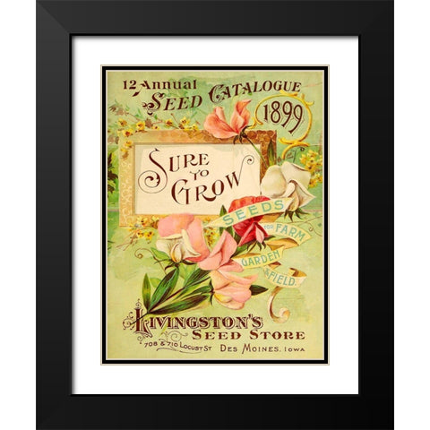 Antique Seed Packets VIII Black Modern Wood Framed Art Print with Double Matting by Unknown