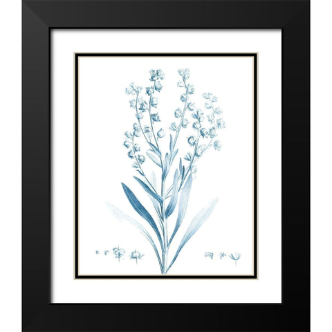 Antique Botanical in Blue I Black Modern Wood Framed Art Print with Double Matting by Vision Studio