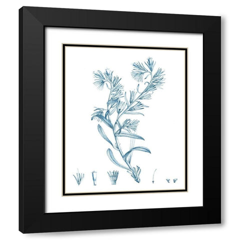 Antique Botanical in Blue II Black Modern Wood Framed Art Print with Double Matting by Vision Studio