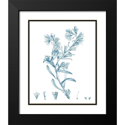 Antique Botanical in Blue II Black Modern Wood Framed Art Print with Double Matting by Vision Studio