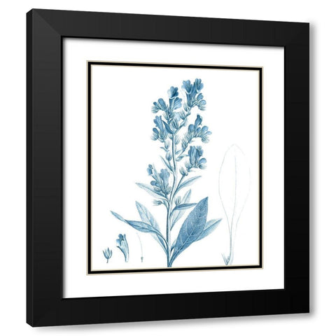 Antique Botanical in Blue III Black Modern Wood Framed Art Print with Double Matting by Vision Studio