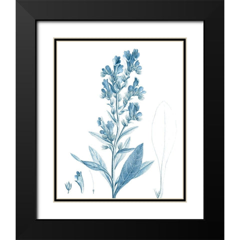 Antique Botanical in Blue III Black Modern Wood Framed Art Print with Double Matting by Vision Studio