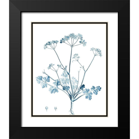 Antique Botanical in Blue IV Black Modern Wood Framed Art Print with Double Matting by Vision Studio