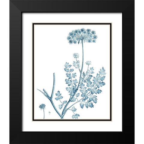 Antique Botanical in Blue V Black Modern Wood Framed Art Print with Double Matting by Vision Studio