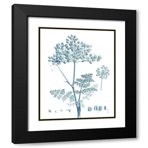 Antique Botanical in Blue VI Black Modern Wood Framed Art Print with Double Matting by Vision Studio