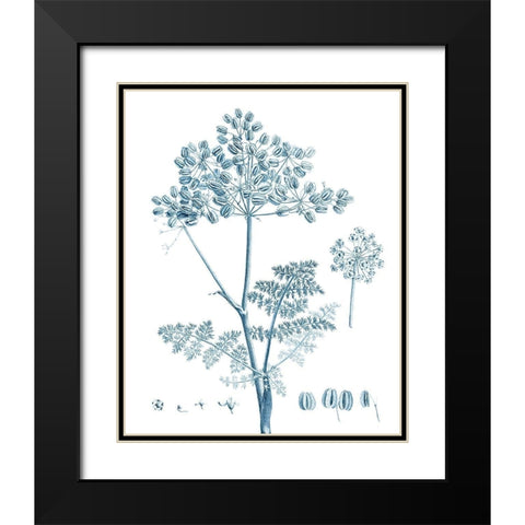 Antique Botanical in Blue VI Black Modern Wood Framed Art Print with Double Matting by Vision Studio