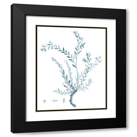 Antique Botanical in Blue VII Black Modern Wood Framed Art Print with Double Matting by Vision Studio