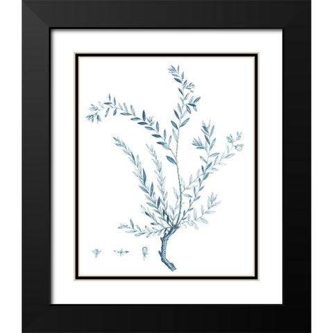 Antique Botanical in Blue VII Black Modern Wood Framed Art Print with Double Matting by Vision Studio