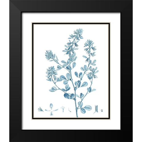 Antique Botanical in Blue VIII Black Modern Wood Framed Art Print with Double Matting by Vision Studio