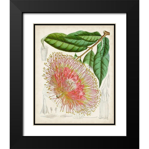 Delicate Tropicals IV Black Modern Wood Framed Art Print with Double Matting by Curtis