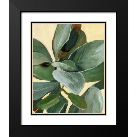 Plant Study I Black Modern Wood Framed Art Print with Double Matting by Warren, Annie