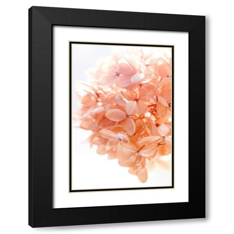 Sunny Morning I Black Modern Wood Framed Art Print with Double Matting by Stalus, Judy