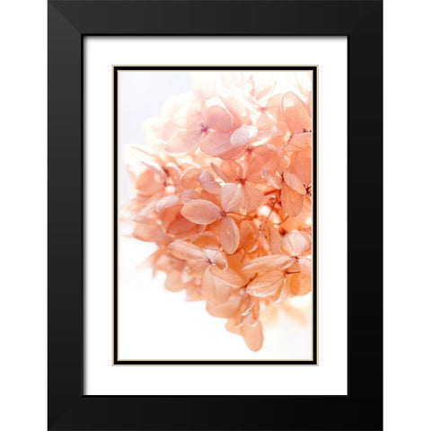 Sunny Morning I Black Modern Wood Framed Art Print with Double Matting by Stalus, Judy