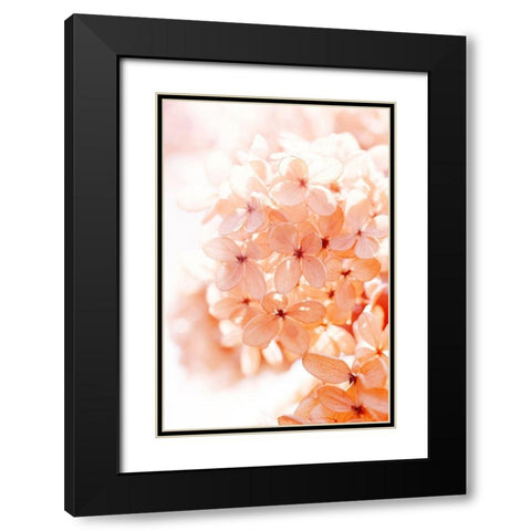 Sunny Morning II Black Modern Wood Framed Art Print with Double Matting by Stalus, Judy